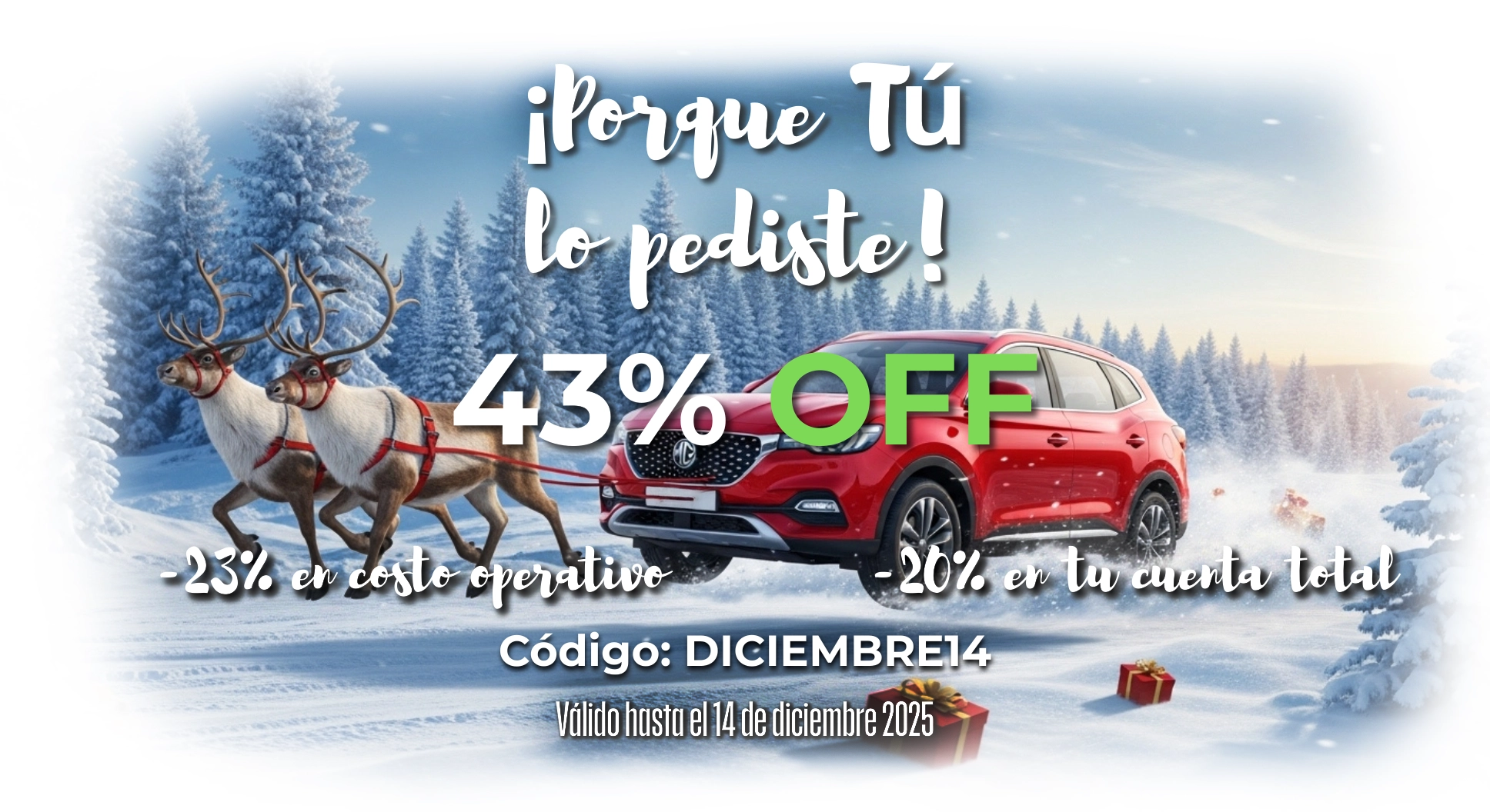 Promoción Diciembre - Descuento Autorizado